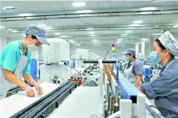 【图片新闻】沙雅县:全面推进棉花产业高质量发展