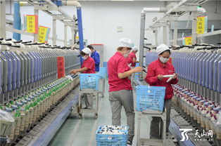 新疆棉产业不断优化 让棉农增收不再难