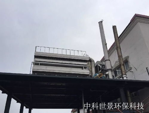 焚烧厂飞灰固化处理设备定制厂家 危险固体废物固化设备